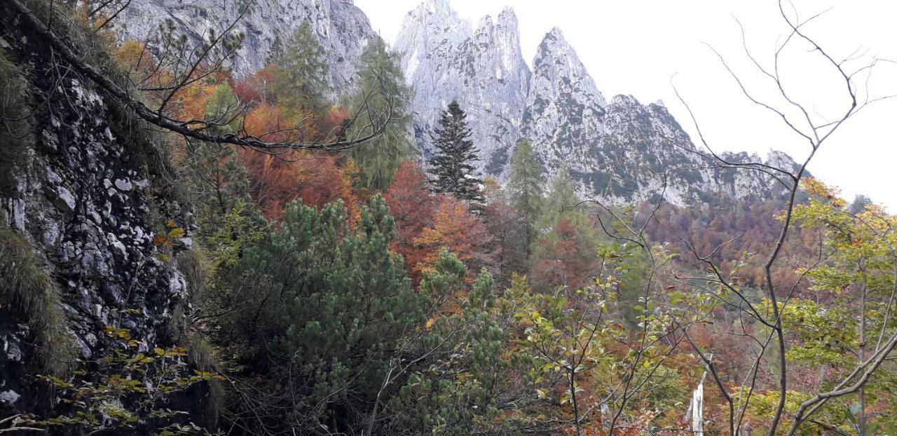 B&B Dolomia Sagron Mis Exteriér fotografie